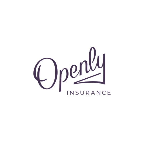 Openly Insurance-1